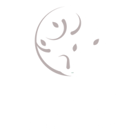 logo thomas harneit k.e.e. 500x500 weiss